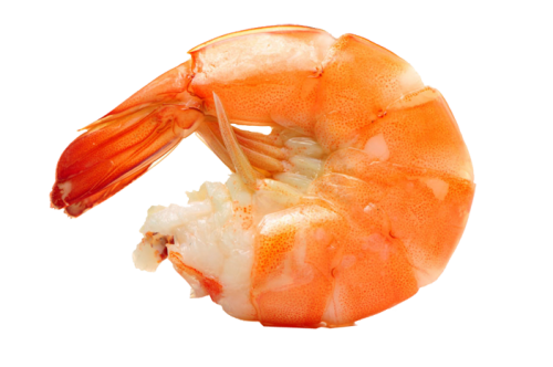crevette-paella crevette-paella